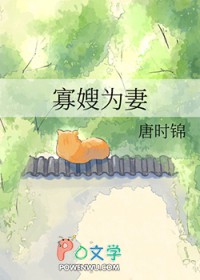 小说