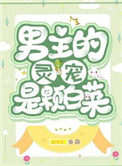 男主灵宠是颗白菜